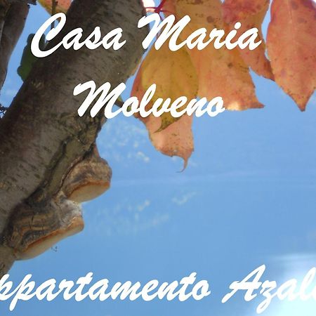 몰베노 Casa Maria 아파트 객실 사진