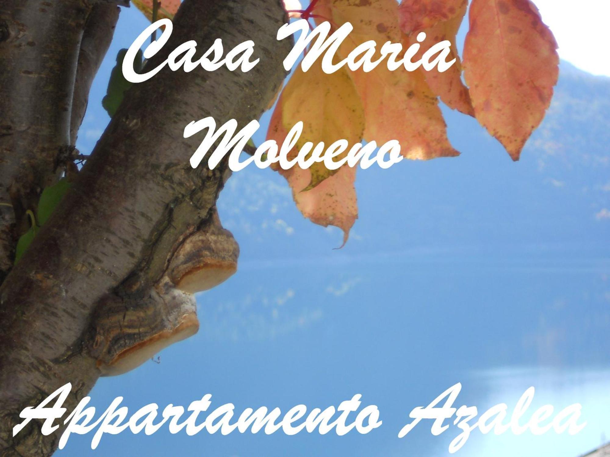 몰베노 Casa Maria 아파트 객실 사진